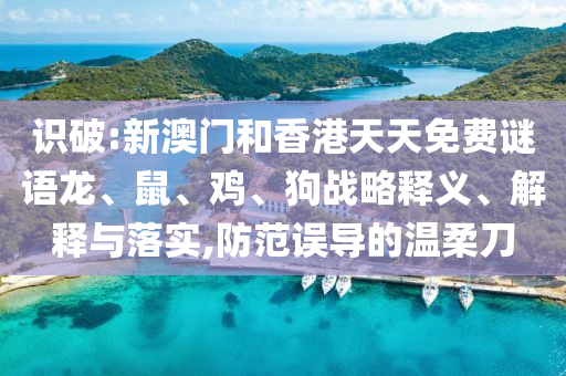 識破:新澳門和香港天天免費謎語龍、鼠、雞、狗戰(zhàn)略釋義、解釋與落實,防范誤導(dǎo)的溫柔刀