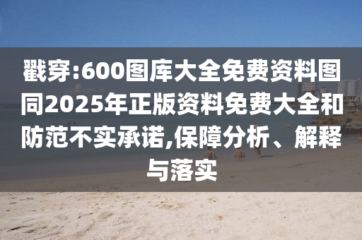 戳穿:600圖庫大全免費資料圖同2025年正版資料免費大全和防范不實承諾,保障分析、解釋與落實